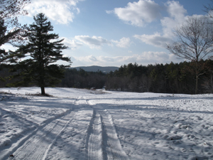 Winter tales and Daytona dreams
