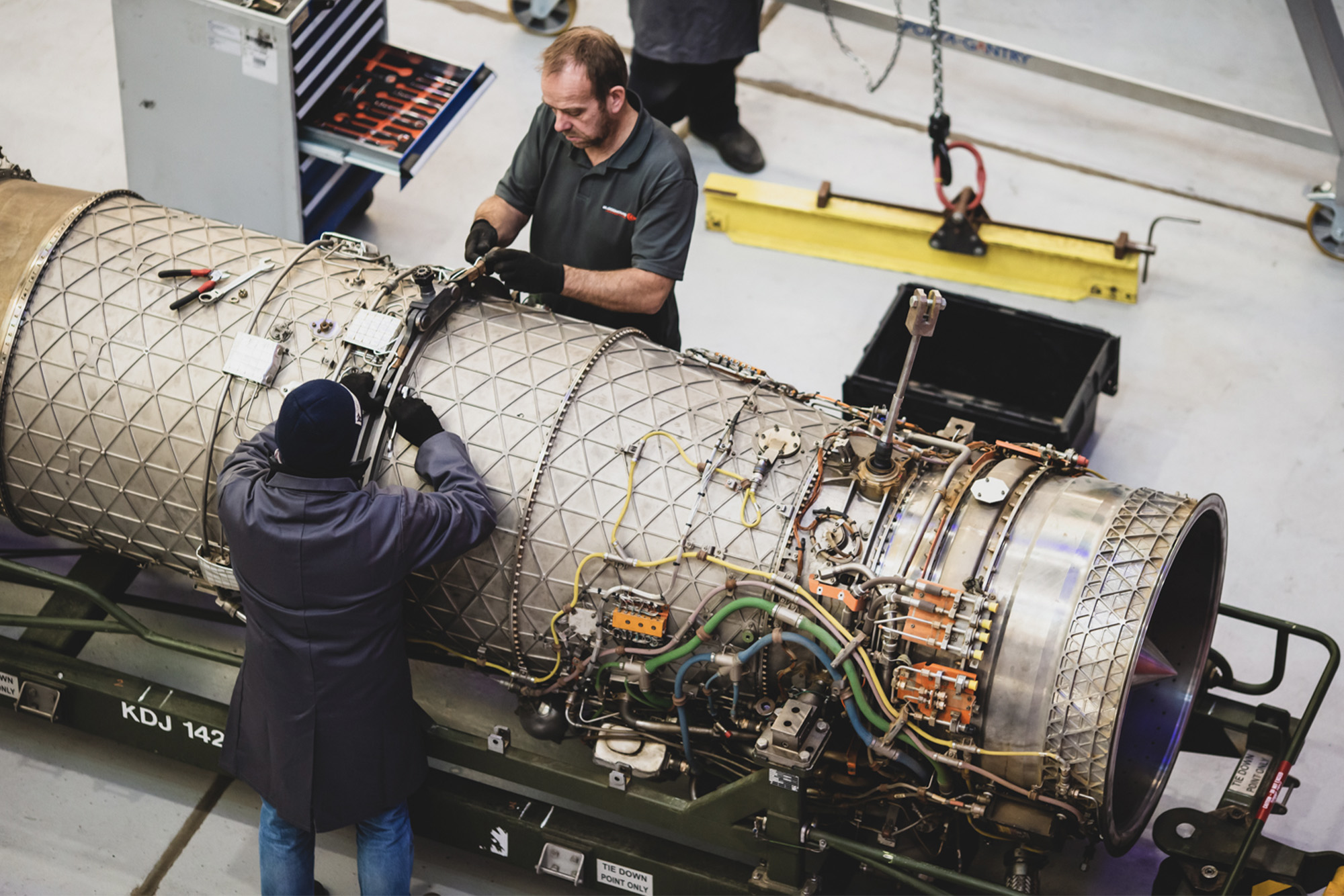 BloodhoundEngine5